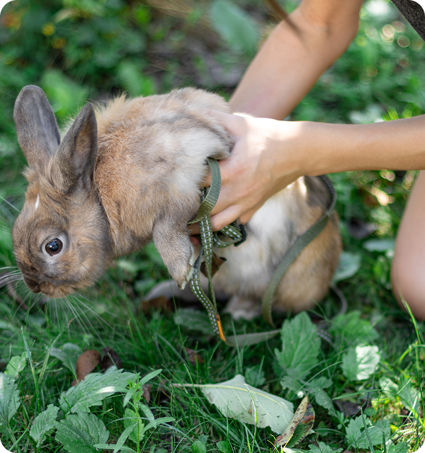 Rectangle 42643778 (3)