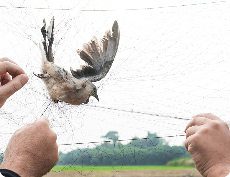 Rectangle 42643778 (8)