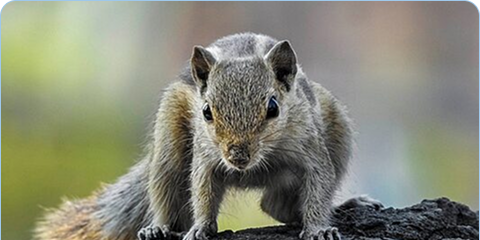 Rectangle 42643781 (2)